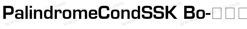 PalindromeCondSSK Bo字体转换
